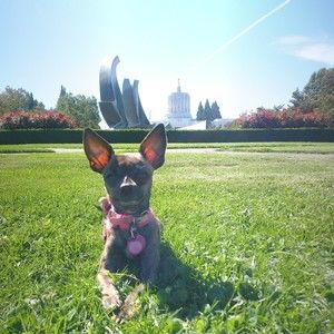 Meet your Posher, Blake